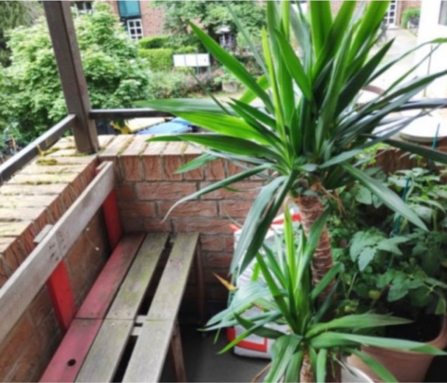 Habitación en WG Gievenbeck Rudolf-Harbig-Weg - foto 9