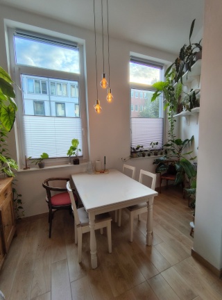 Anzeigenbild: Schöne Altbauwohnung für Paare (WBS erforderlich)