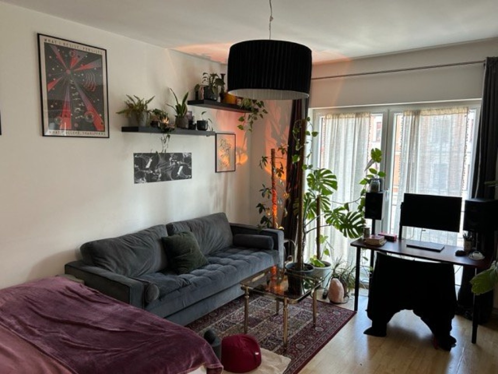 Helle 1-Zimmer-Wohnung am Mauerpark zur Zwischenmiete (5 Wochen ab 24.09.)