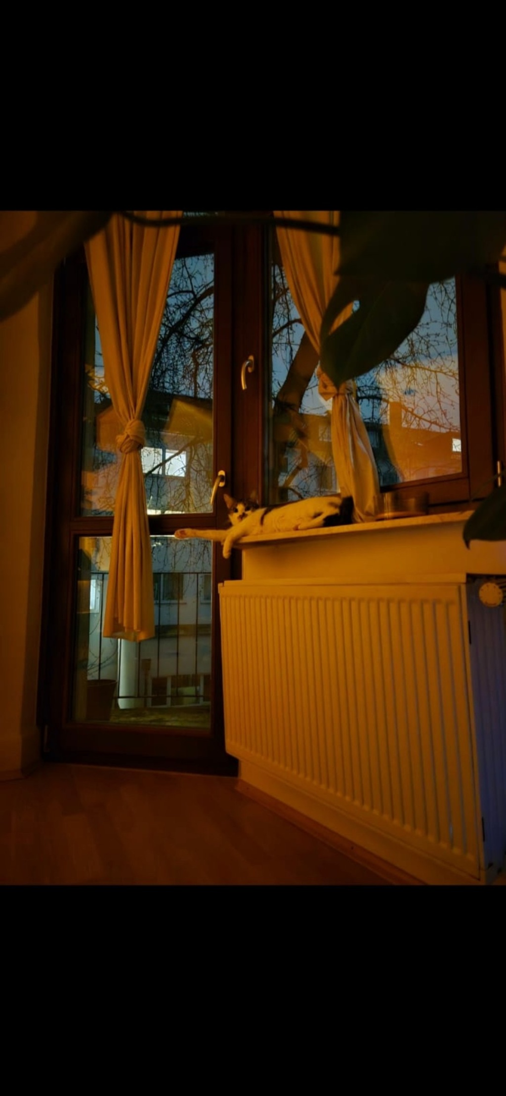 Gemütliche 2 Zimmerwohnung im begehrten Stadtteil – Musterstraße 6, 34119 Kassel West – Vorschaubild 2