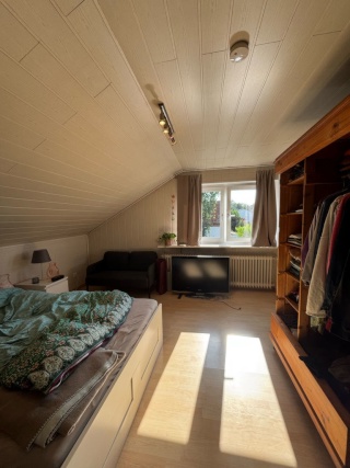 Anzeigenbild: Süße 1-Zimmer-Dachgeschosswohnung in Mombach