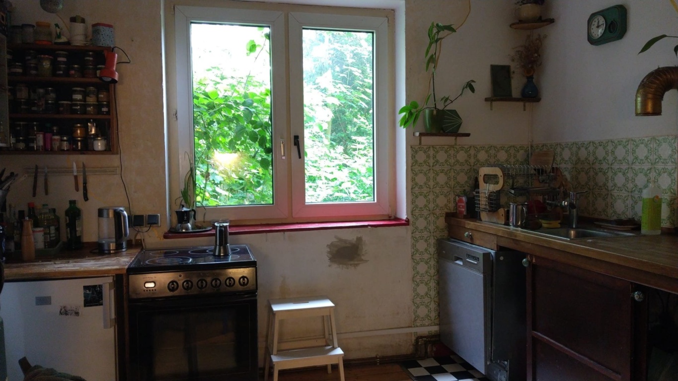 WG-Zimmer Schlachthofviertel Eckenerstraße 16 - Küche