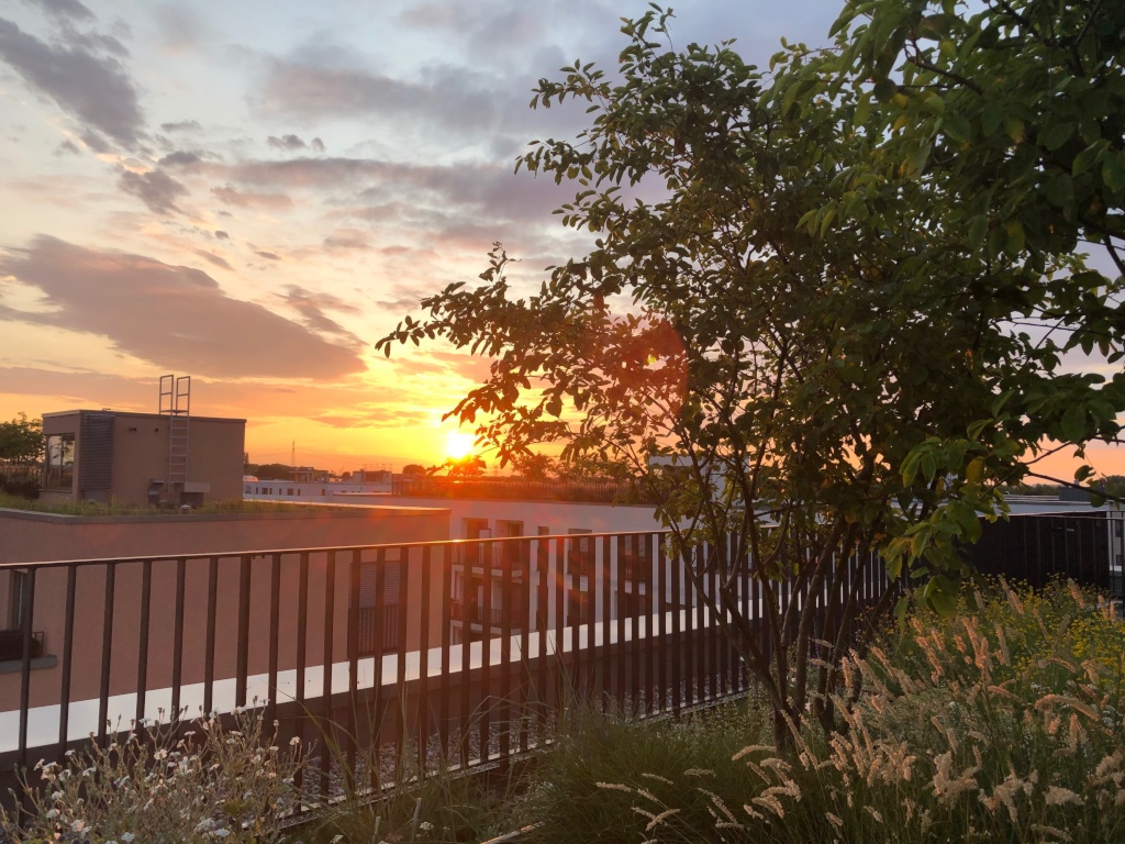 Apartamento Allach-Untermenzing Am Münchfeld 37 - Ausblick
