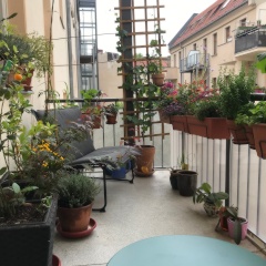 von 30.07.2026 bis 08.09.2026 — photo 1