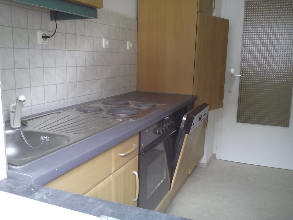 Wohnung Neckarstadt Pumpwerkstraße 8 - Küche, wird ersetzt