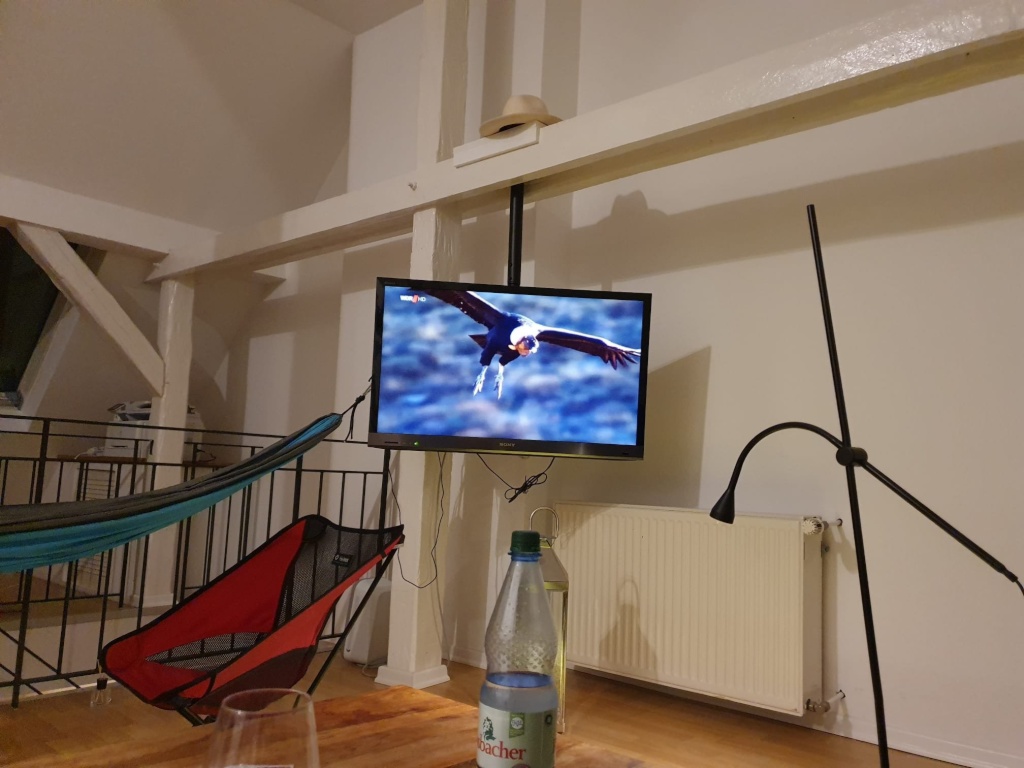 Traumwohnung zur Untermiete für 1 Jahr. Im Herzen von Wiesbaden – Dotzheimer Str. 54, 65197 Wiesbaden Wiesbaden – Vorschaubild 5