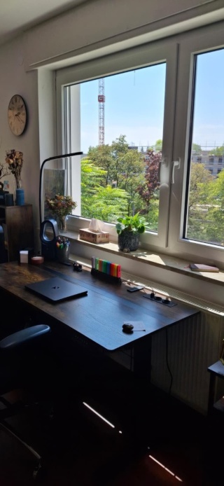 Hell + zentral: ca. 20 qm möbliert inkl. Bett in ruhiger 3-Zi-Whg | Weststadt, 8 Min zum Hbf | Westbalkon, viele Pflanzen | Zwischenmiete Sep–Dez