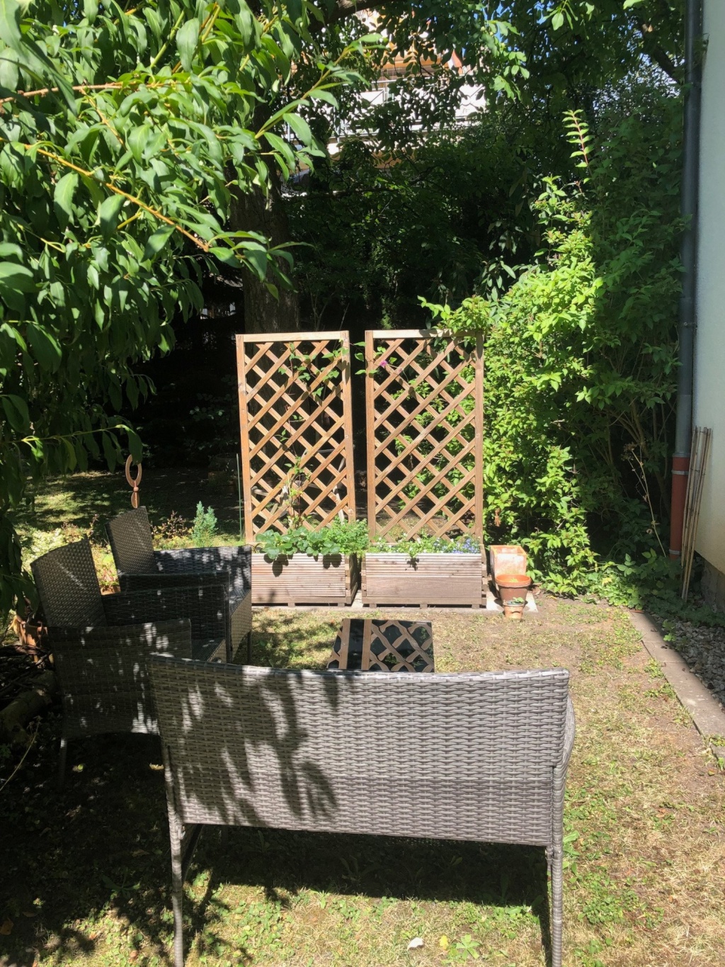 Apartamento Südviertel Frankfurter Straße - Sitzplatz im Garten