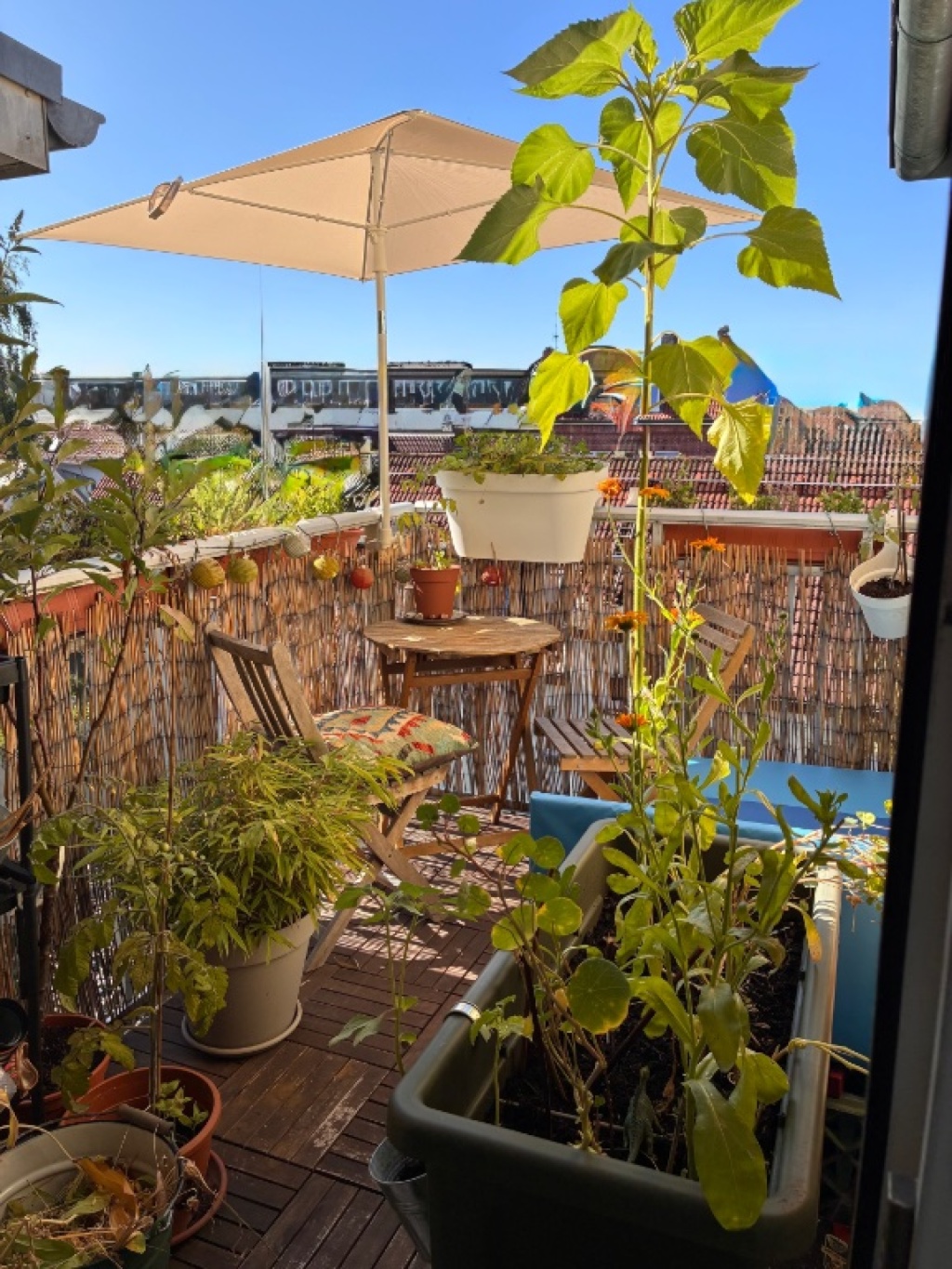 Schöne Altbauwohnung mit Südbalkon – Julius-Ertel-Straße, 21107 Hamburg Wilhelmsburg – Vorschaubild 3