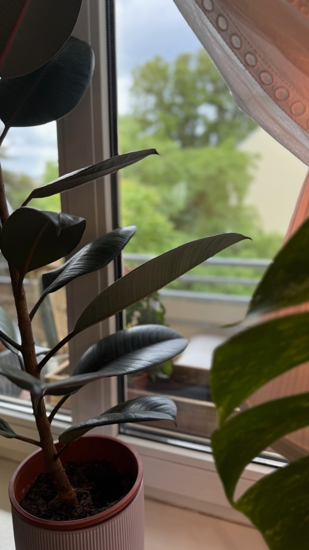 Liebevoll eingerichtete 2-Zimmer-Wohnung in Magdeburg-Sudenburg – Braunschweiger Straße, 39112 Magdeburg Sudenburg – Vorschaubild 14