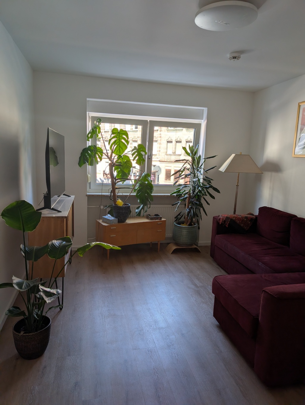 Temporary Sublet: Furnished Room/Apartment in Nuremberg-St. Johannis, 15 Dec 2026 – 30 Apr 2027