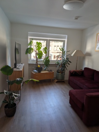 Furnished 3-Room Apartment in Nuremberg-St. Johannis – Fully Equipped Kitchen
