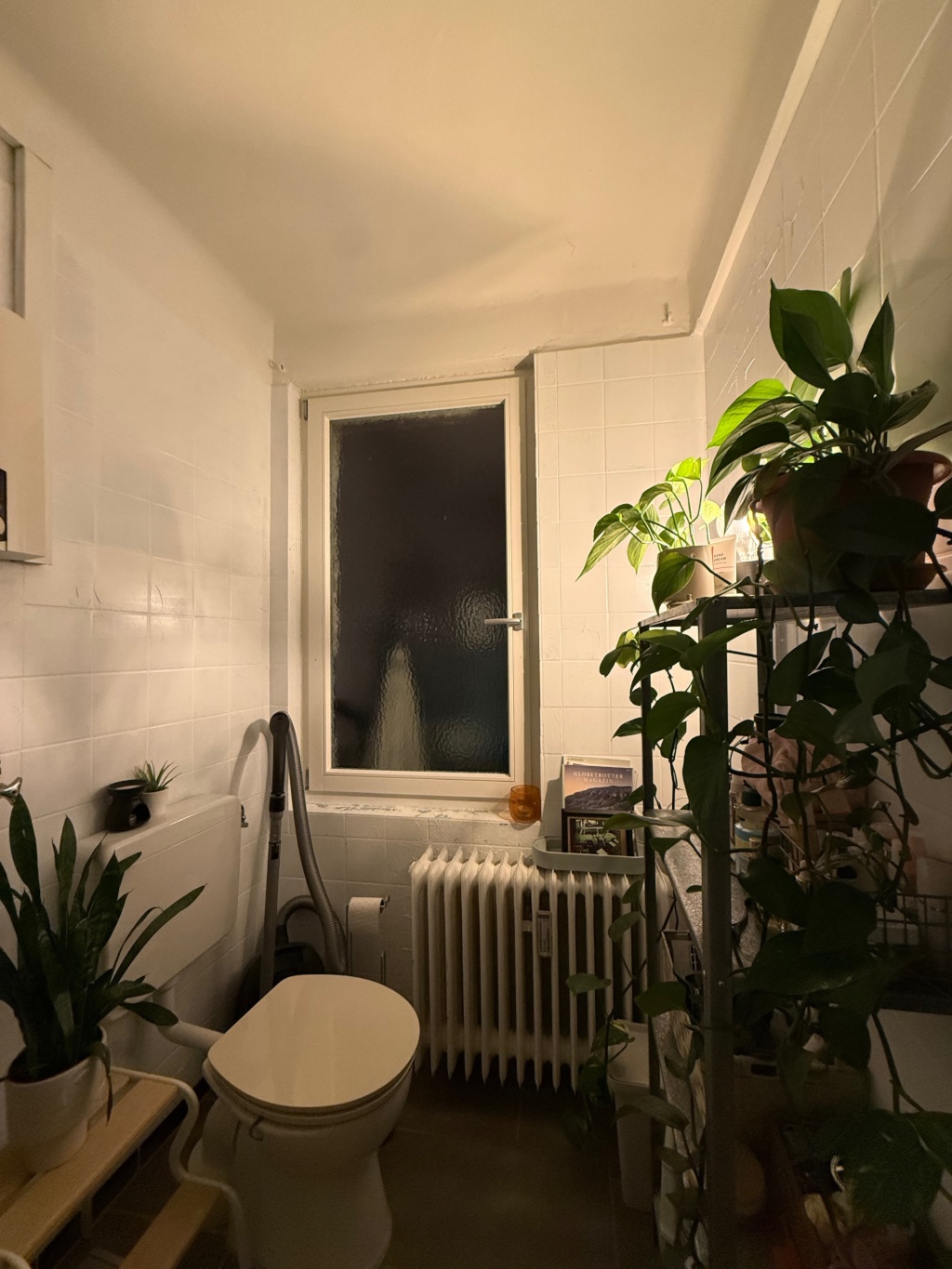 Gemütliche 2-Zimmer-Wohnung mit großer Terrasse in der Heidelberger Altstadt – Obere Neckarstraße, 69117 Heidelberg Altstadt – Vorschaubild 6