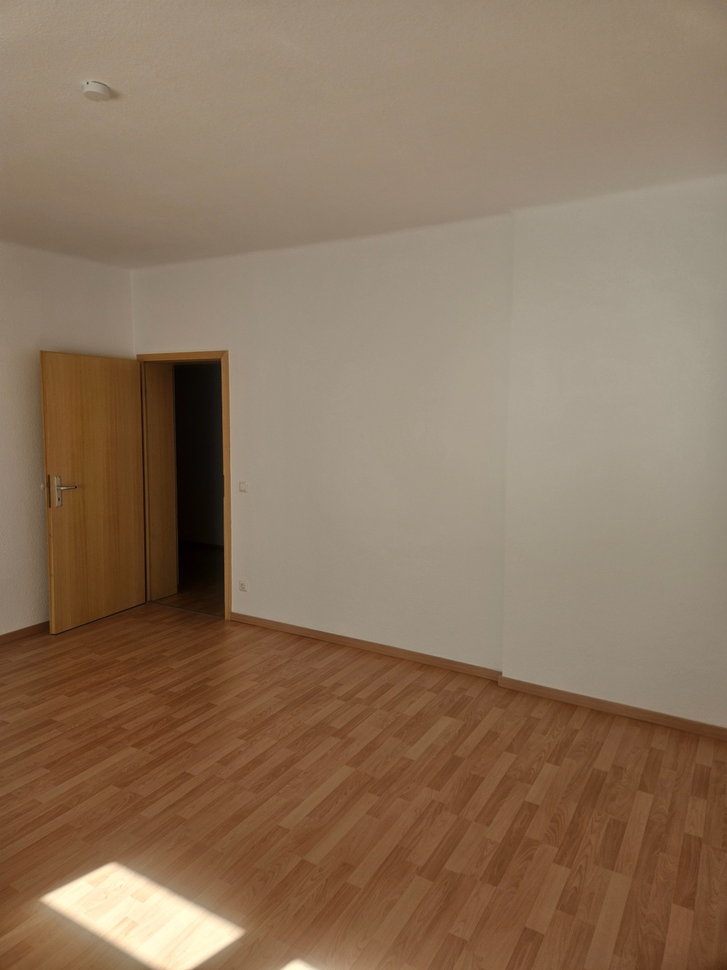Schöne Zwei-Zimmer-Wohnung in Brühlervorstadt sucht Nachmieter (auch als WG verfügbar) – Ottostraße 35, 99092 Erfurt Brühlervorstadt – Vorschaubild 5