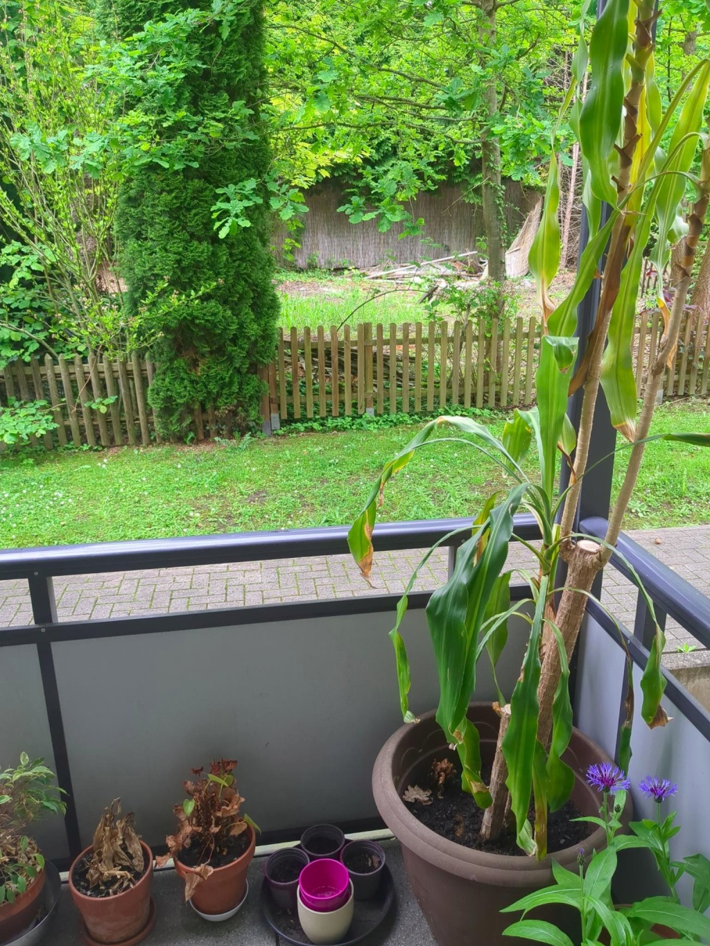 Flat Hombruch Egerstrasse 16 - picture 3