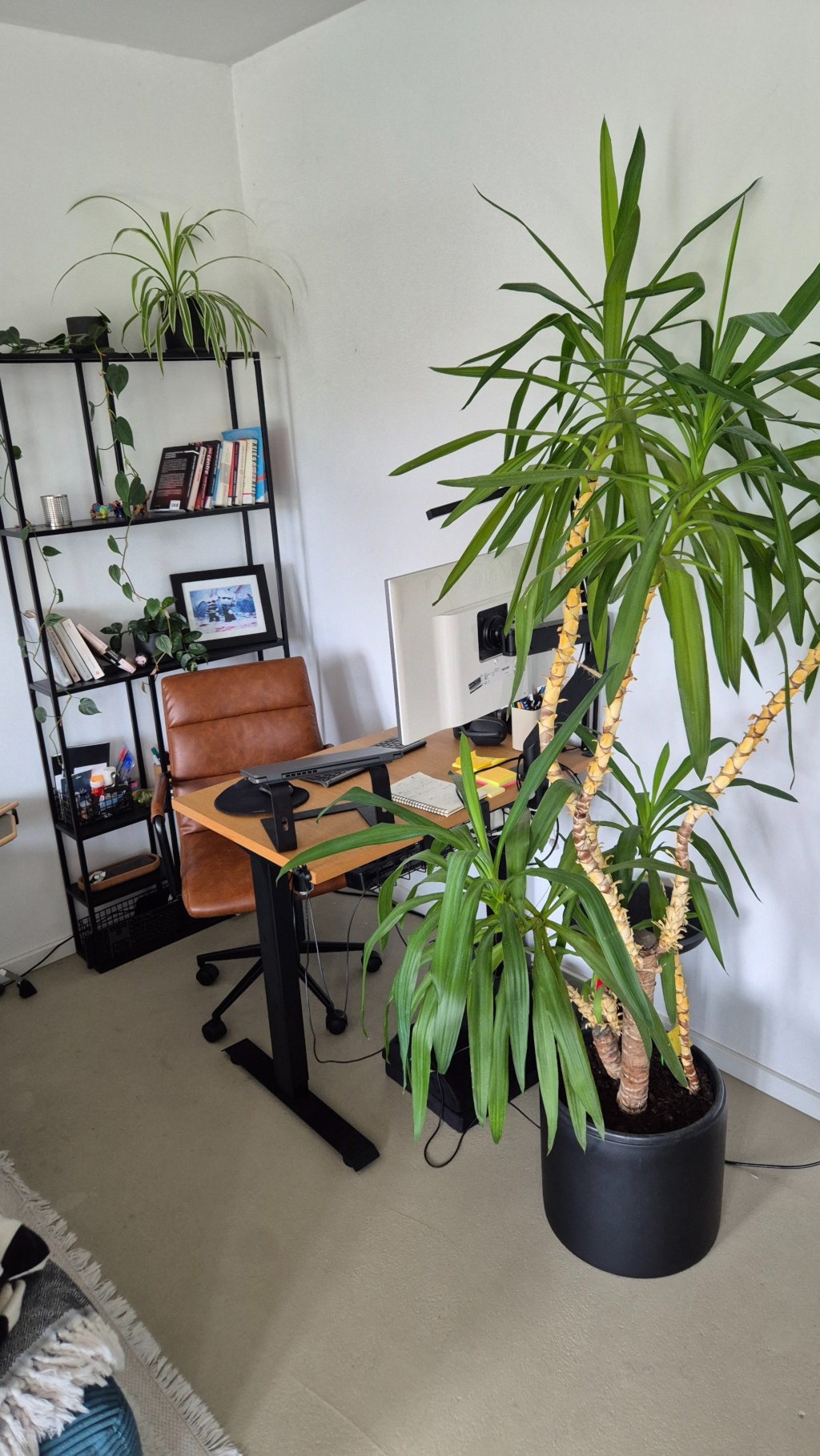 Flat Neukölln Warthestr. - Voll ausgestatteter Arbeitsbereich im Wohnzimmer