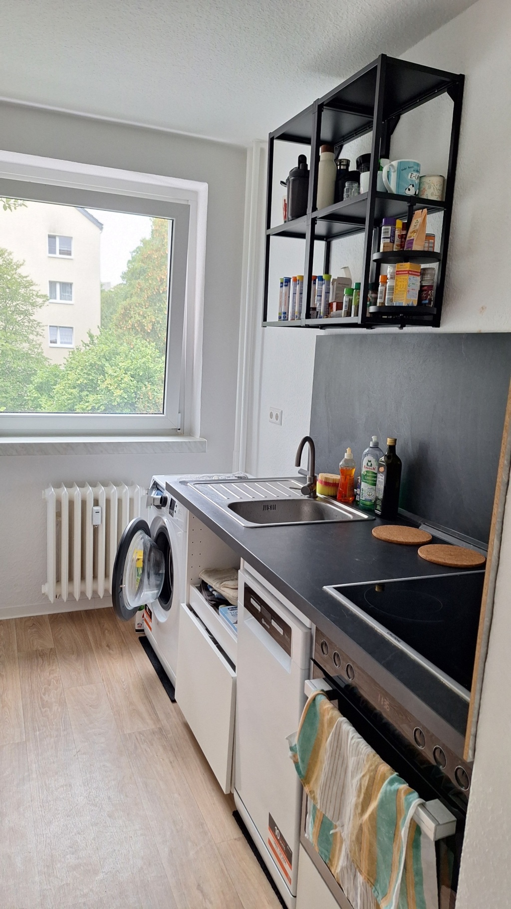 **Anfragestopp** Möblierte 2-Zi-Wohnung Dresden, Elbnähe – Zwischenmiete Sept 2026–März 2027, all inclusive – Rietschelstraße, 1069 Dresden Pirnaische Vorstadt – Vorschaubild 6