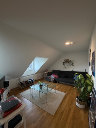 Anzeigenbild: Moderne Dachgeschosswohnung an der Poppelsdorfer Allee