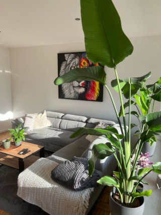 Ad image: 98 m2 möblierte Wohnung auf Zeit | Dortmund-Brackel