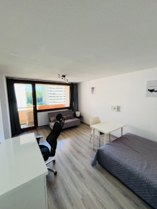 Anzeigenbild: Helle 1-Zimmer-Wohnung mit großem Balkon. Möbliert, zur Zwischenmiete.