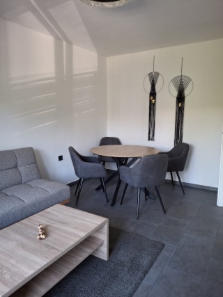 neusanierte Wohnung zu vermieten