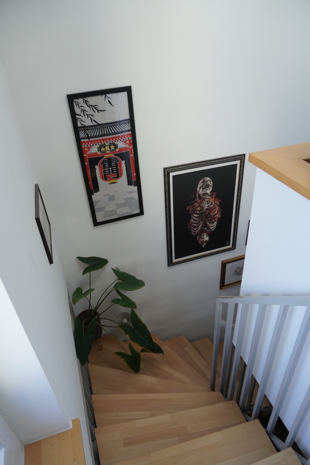 Möblierte Maisonette-Wohnung mit Dachterrasse und Stellplatz in der Dresdner Neustadt zur Zwischenmiete – Lößnitzstraße, 1097 Dresden Leipziger Vorstadt – Vorschaubild 9
