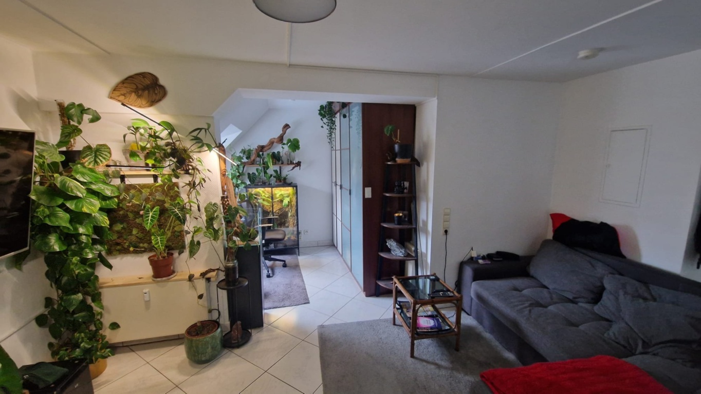 Möblierte Wohnung in Köln zur Zwischenmiete (Übernahme möglich) – Lehmbruckstraße 2a, 50939 Köln Köln – Vorschaubild 3
