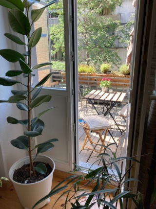 2-Zi. Wohnung am Helmholzplatz — photo 1