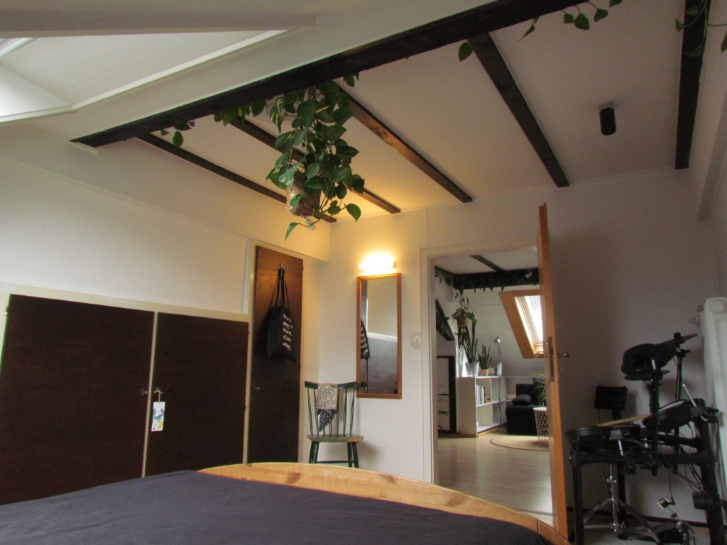 Wohnung Innenstadt Weberstr. 14 - Bild 5