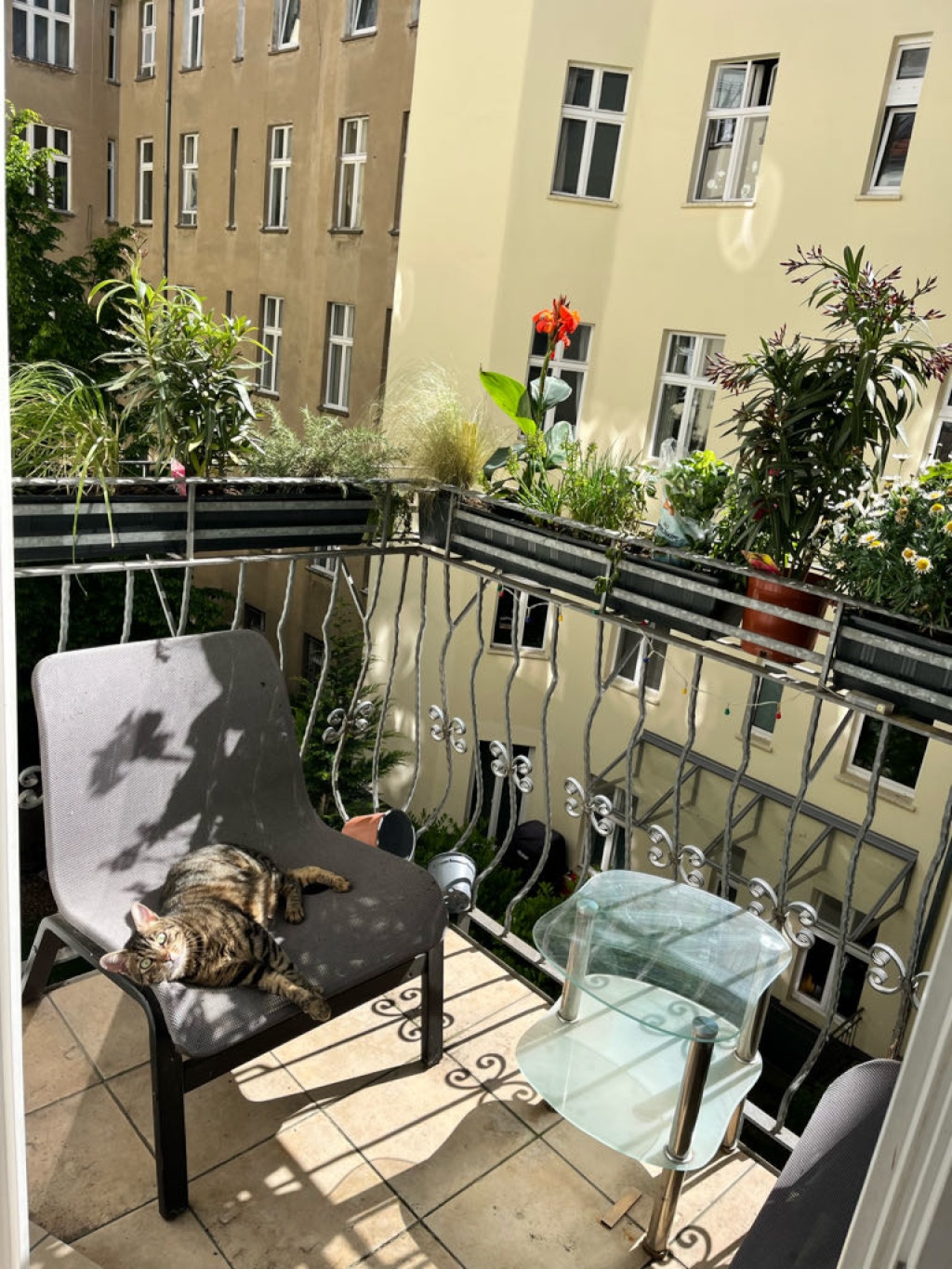 Wohnung Prenzlauer Berg Meyerheimstraße 2 - Bild 2