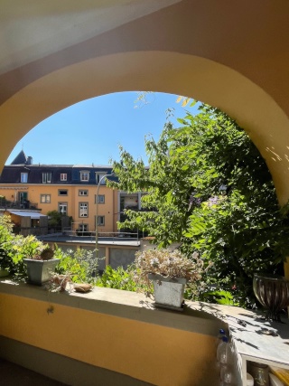 Anzeigenbild: Sehr grosses Zimmer in wunderschöner EG-Wohnung mit Garten im Breitenrain