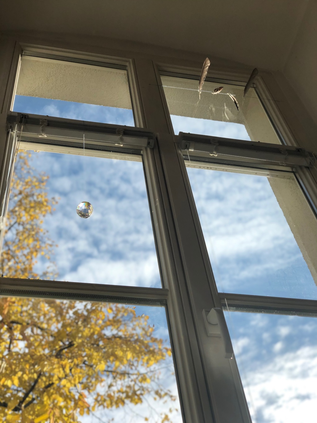 Helle 1 Zimmer Wohnung in Kreuzberg am Viktoriapark – Untermiete 27.09.26-31.01.27 – Kreuzbergstraße, 10965 Berlin Friedrichshain-Kreuzberg – Vorschaubild 5