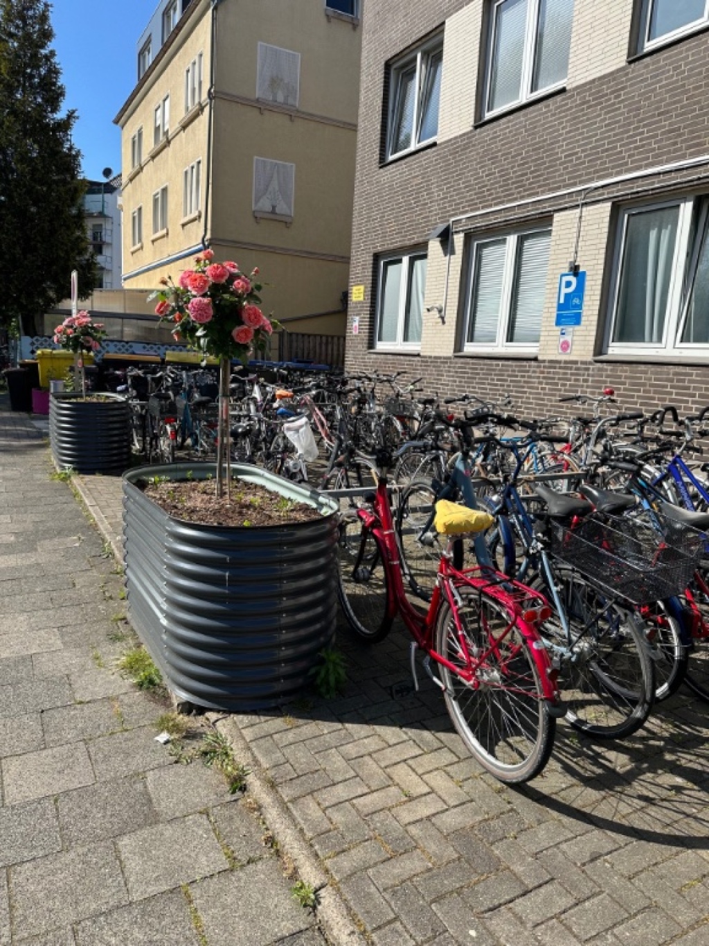 WG-Zimmer Centrum Offenberg Str. - Bild 15