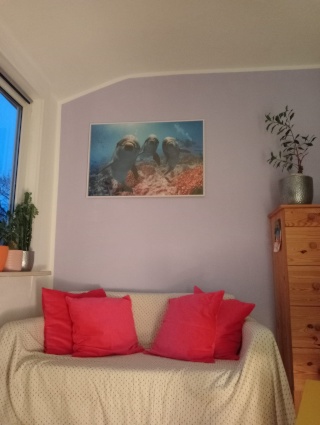 Ad image: Temporary rent: Cozy room, temporary WG then own flat (end of Sept or Oct or Nov or Dec 2026 for several months)