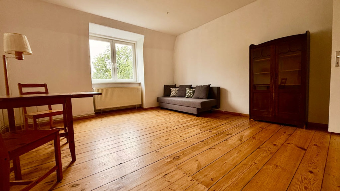 Apartamento Karlshorst Stolzenfelsstraße - living room with sleeping sofa