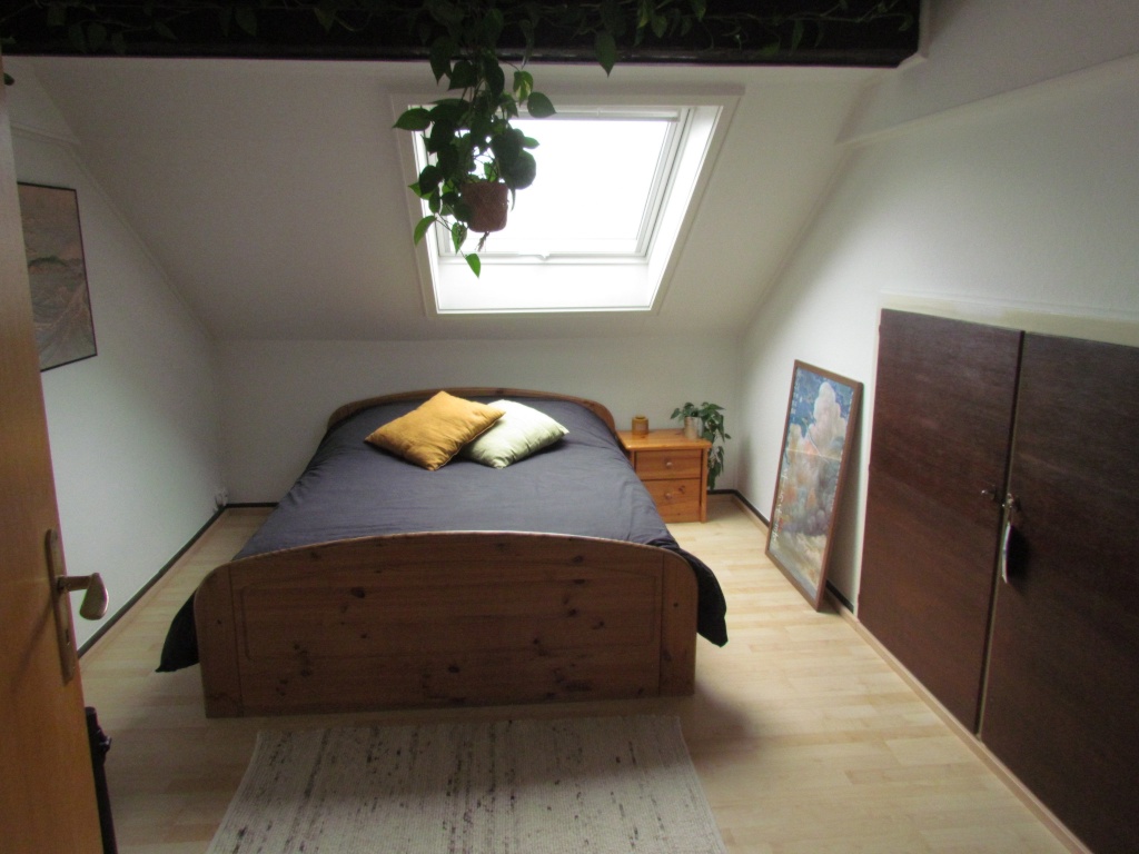 Wohnung Innenstadt Weberstr. 14 - Bild 4