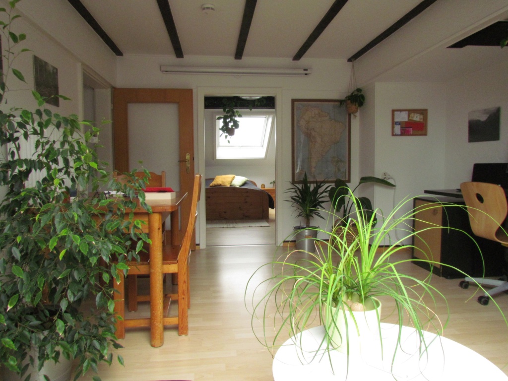 Wohnung Innenstadt Weberstr. 14 - Bild 3