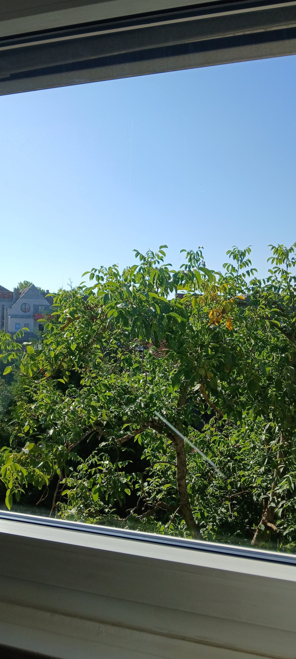 Dreizimmerwohnung in Degerloch befristet auf 18 Monate, DG mit Gartenmitbenutzung – Wurmlinger Strasse, 70597 Stuttgart Degerloch – Vorschaubild 3