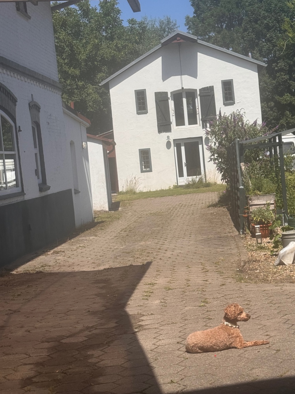 Möblierte 3 Zimmerwohnung Untermiete – Billwerder Billdeich 425, 21033 Hamburg Billwerder – Vorschaubild 2