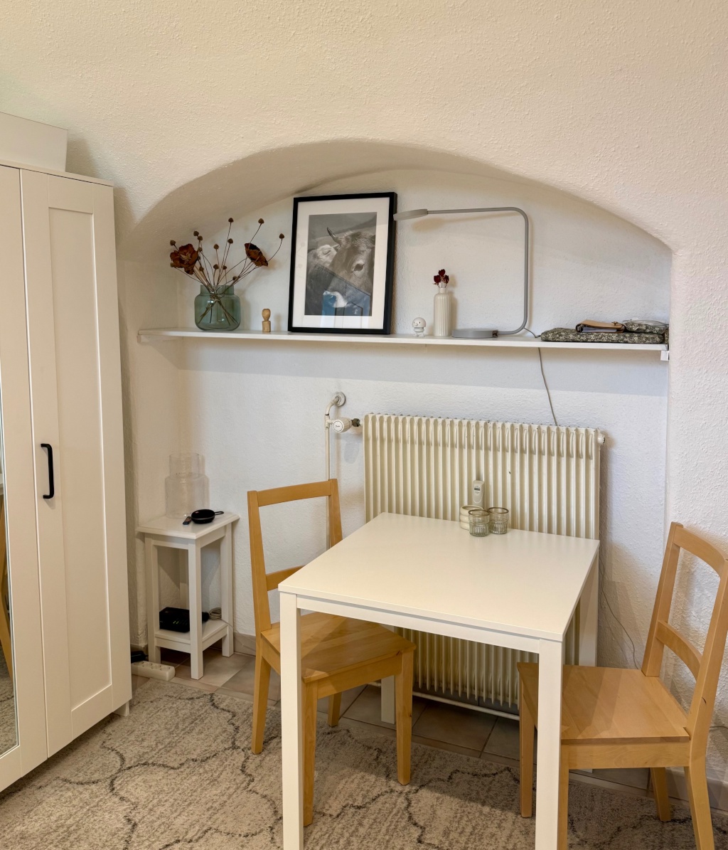 Möblierte 1-Zimmer-Wohnung zur Zwischenmiete (Februar – Oktober 2027) – 97080 Würzburg Altstadt – Vorschaubild 2