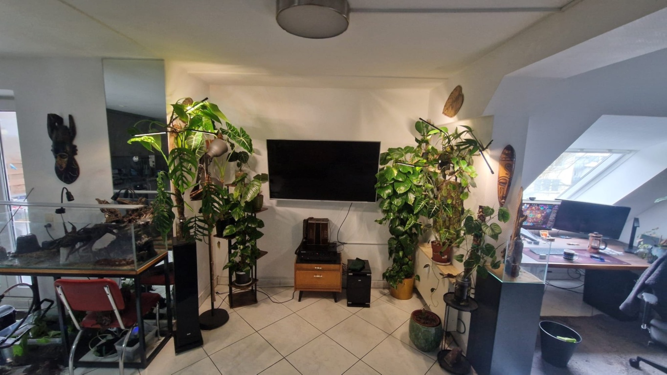 Möblierte Wohnung in Köln zur Zwischenmiete (Übernahme möglich) – Lehmbruckstraße 2a, 50939 Köln Köln – Vorschaubild 2