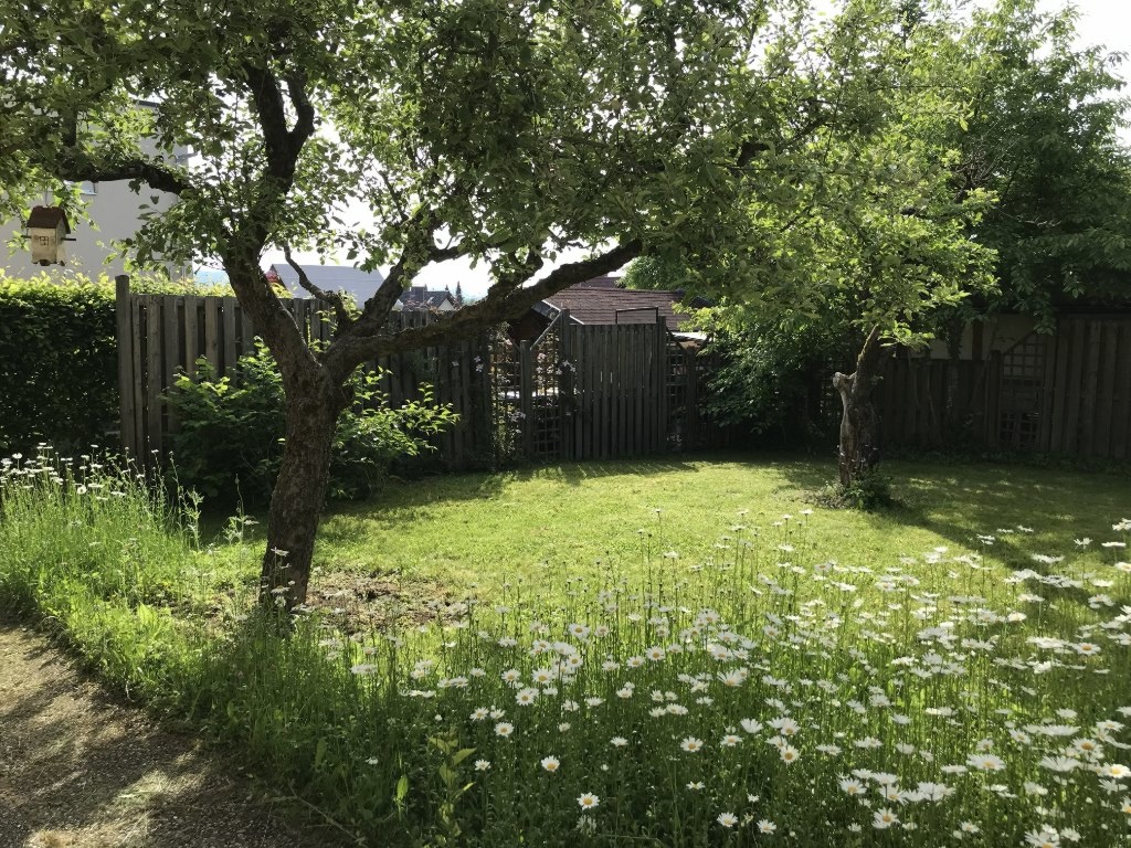 Flatshare Oberbimbach wird bei Kontaktaufnahme mitgeteilt - Garten