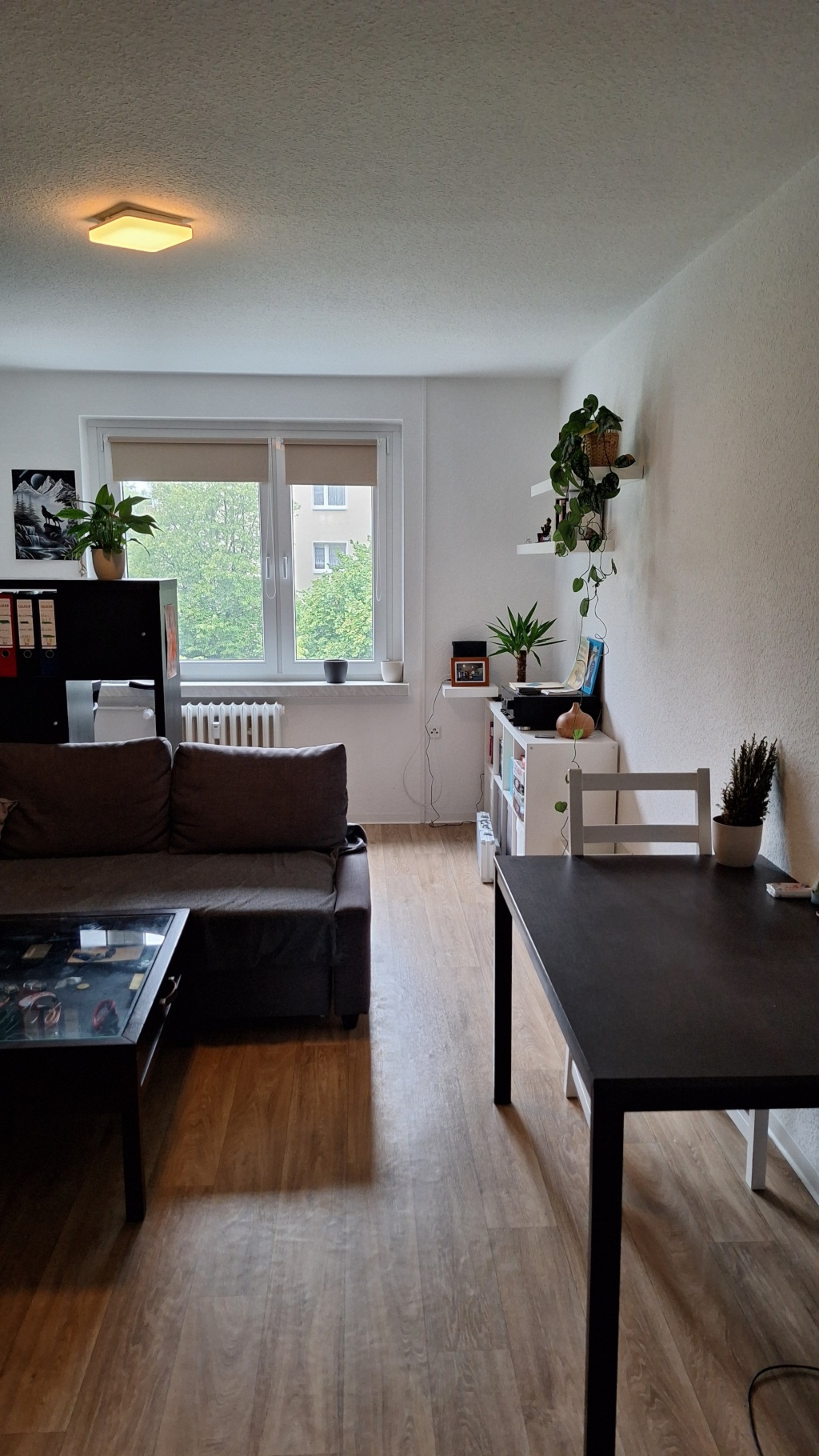 **Anfragestopp** Möblierte 2-Zi-Wohnung Dresden, Elbnähe – Zwischenmiete Sept 2026–März 2027, all inclusive – Rietschelstraße, 1069 Dresden Pirnaische Vorstadt – Vorschaubild 5