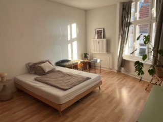 Bright Flat near Tempelhofer Feld — photo 1