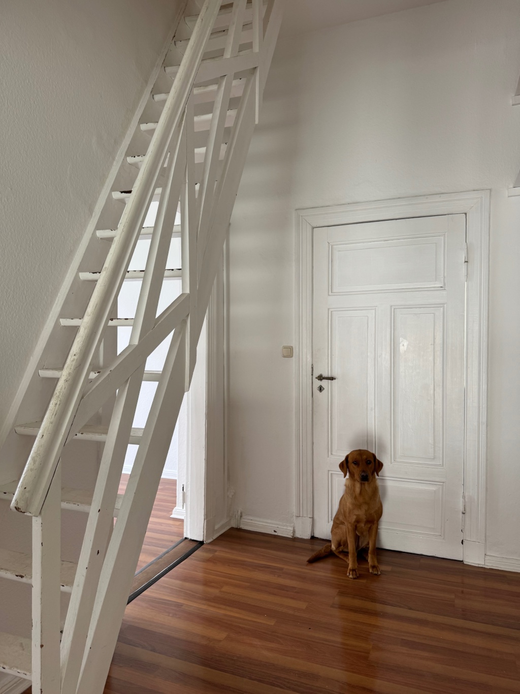 Großräumige Altbauwohnung in Top Lage, perfekt für 2er Studenten WG – Hauptstraße 3, 26122 Oldenburg Marschweg – Vorschaubild 9
