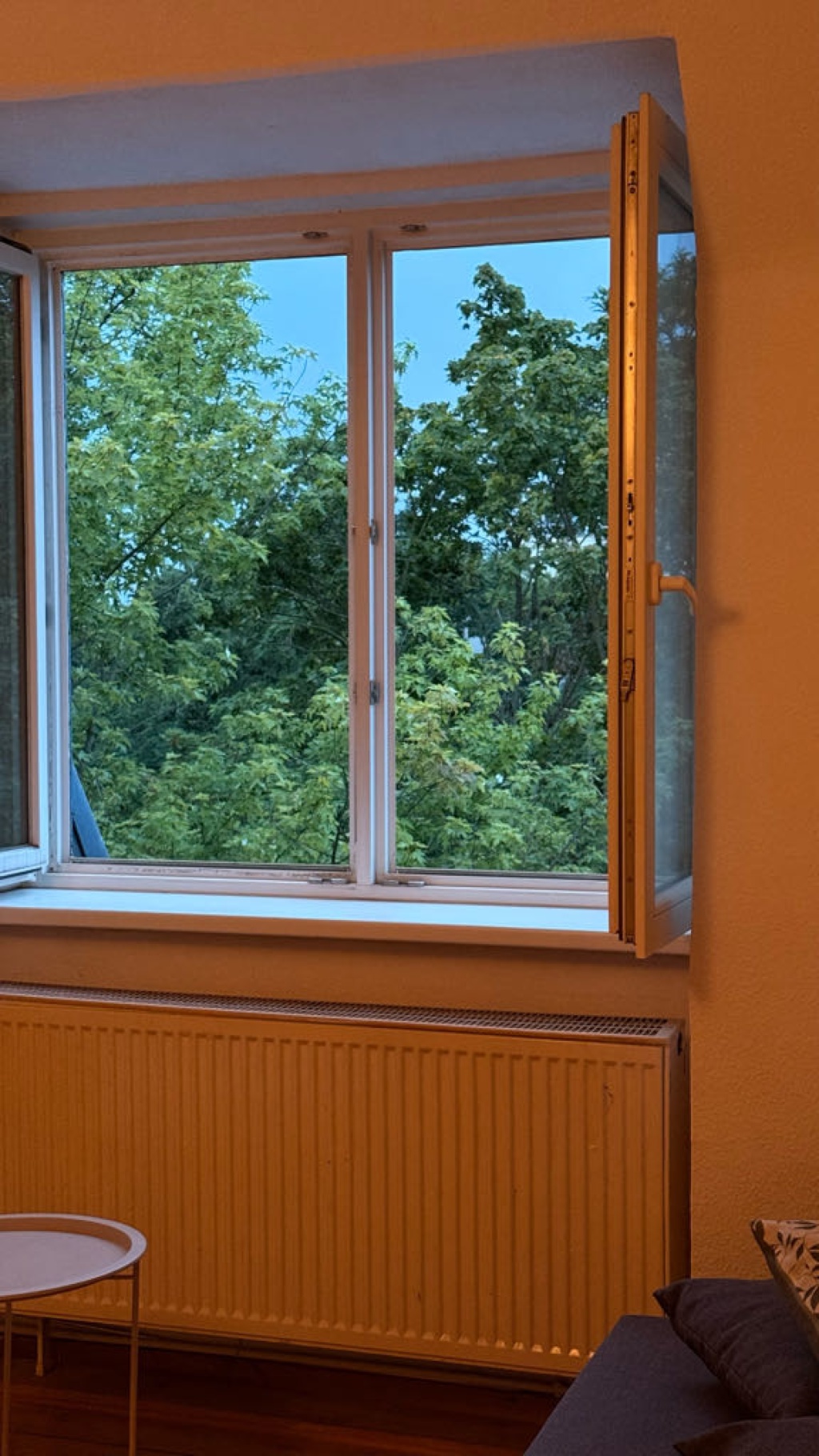 Apartamento Karlshorst Stolzenfelsstraße - evening view to southwest