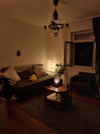 Beautiful Furnished Apartment in the Heart of Stuttgart