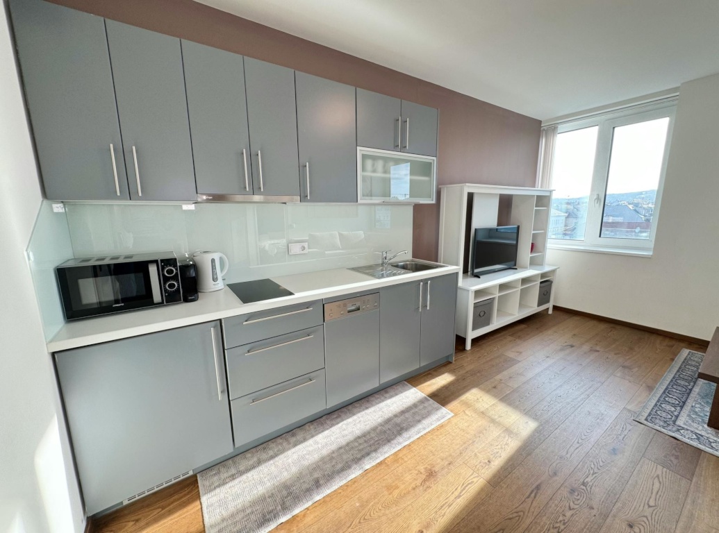 1-Zimmer-Wohnung Wien Währinger Gürtel - Bild 4