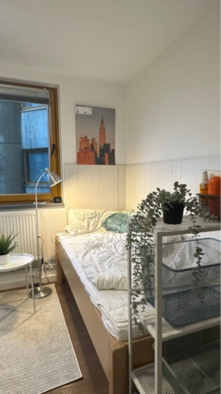 Ad image: braunschweig 08.19~10.20