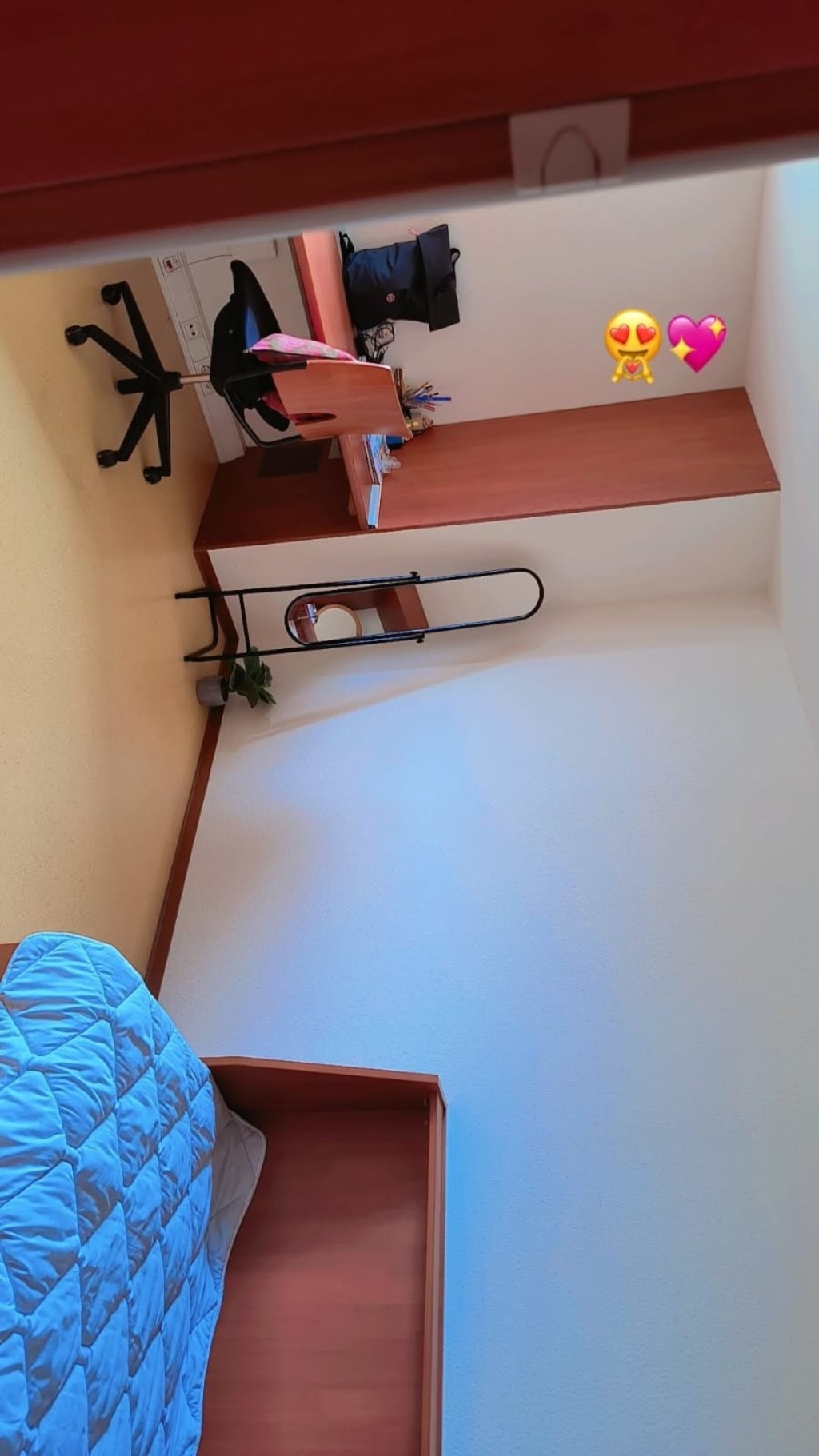 room in 2 person female shared apartment – Markstr. 105, 44801 Bochum Bochum – Vorschaubild 2